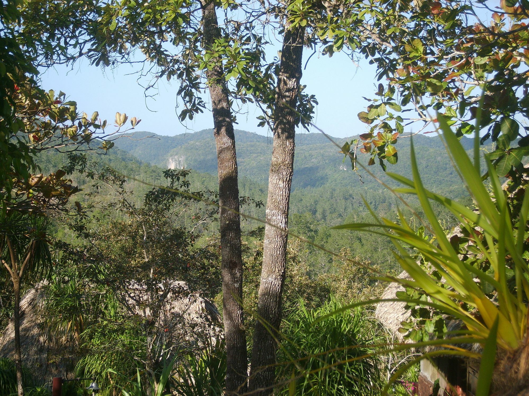 Gaia Riverlodge Unitedville Luaran gambar